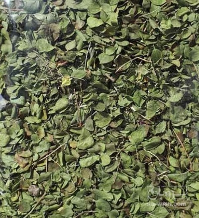 فروش آویشن خشک برگ