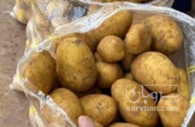 فروش سیب زمینی اسپریت