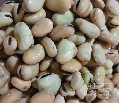 فروش باقلا خشک