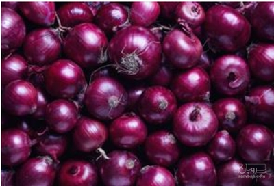 فروش پیاز