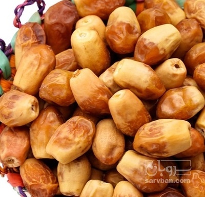 فروش خرما زاهدی صادراتی