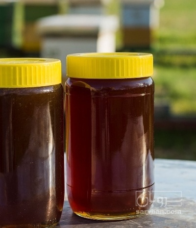 فروش عسل گیاهی