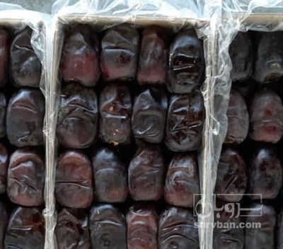 فروش خرما مضافتی