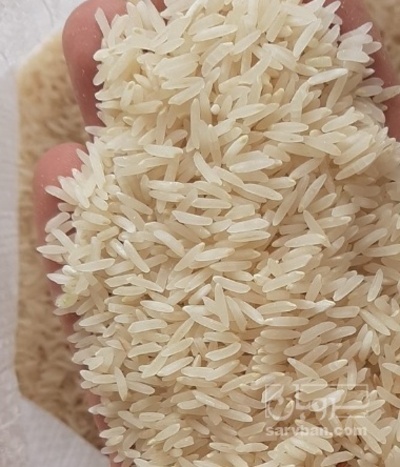 فروش برنج فجر