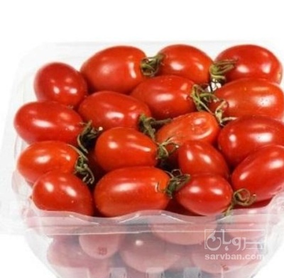 فروش گوجه فرنگی زیتونی گلخانه ایی بسته 400 گرمی