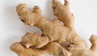 فروش زنجبیل تازه