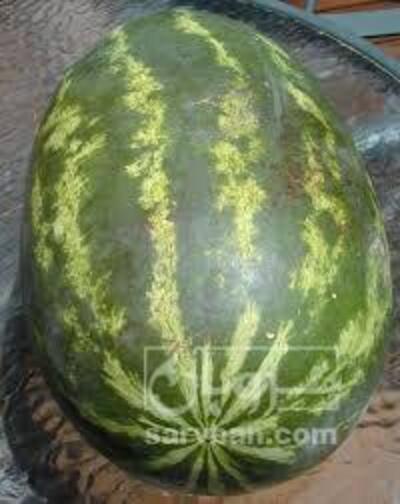 فروش هندوانه