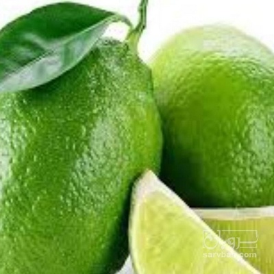 فروش لیموترش لایم کوات گلخانه ایی