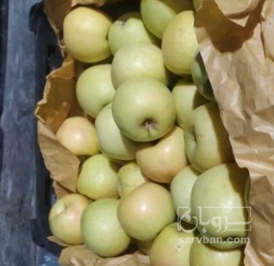 فروش سیب زرد