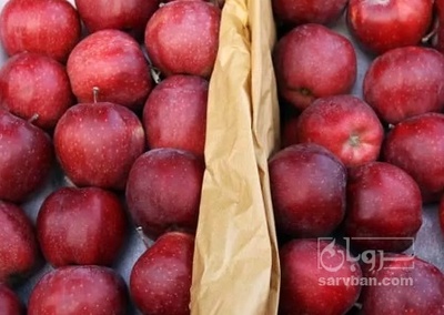 فروش سیب قرمز