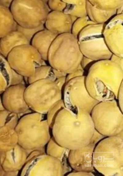 فروش لیمو خشک زیراسیابی