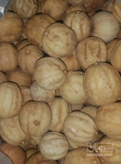 فروش لیمو خشک