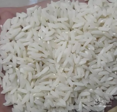 فروش برنج هاشمی سورت لیزری