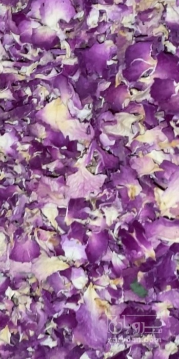 فروش گل محمدی (گیاه‌ دارویی)