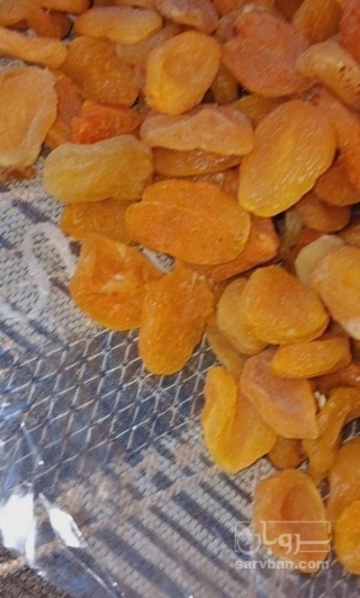 فروش برگه قیسی بسته