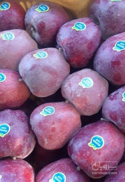 فروش سیب قرمز