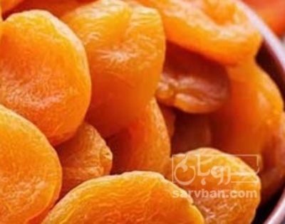 فروش برگه قیسی