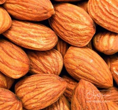 فروش بادام مغز