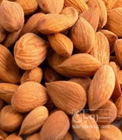 فروش هسته زردآلو