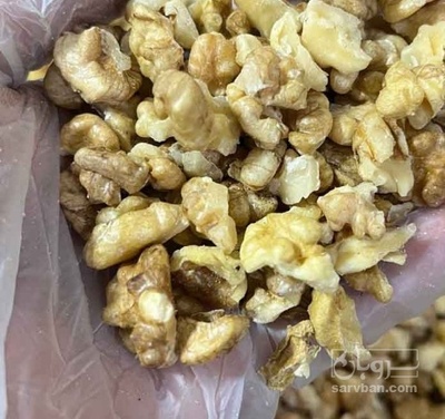 فروش گردو دندانه