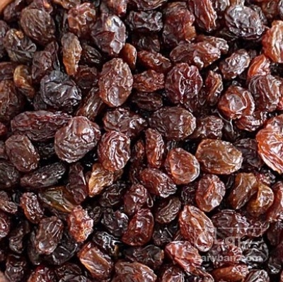 فروش کشمش افتابی