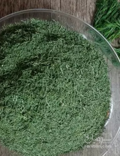 فروش شوید خشک