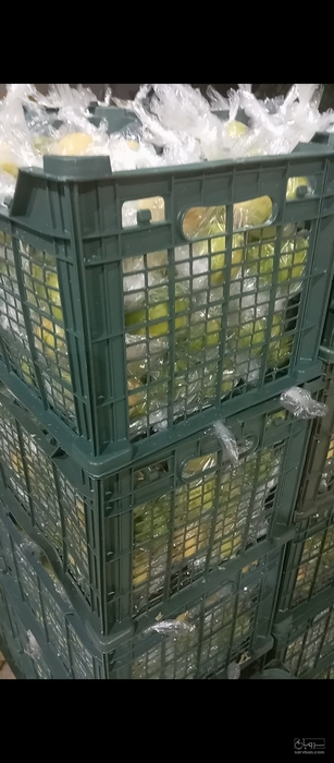 فروش لیمو سنگی