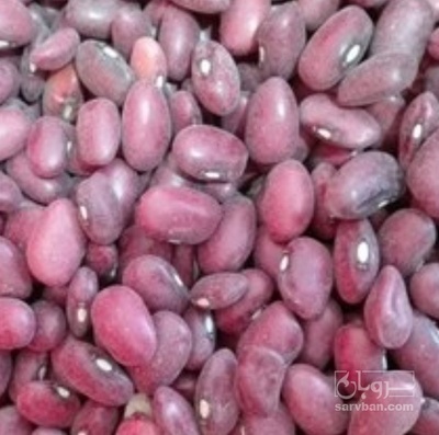 فروش لوبیا قرمز