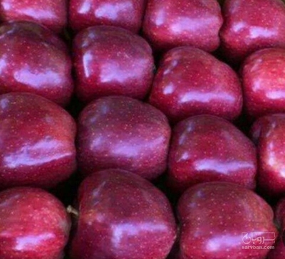 فروش سیب قرمز