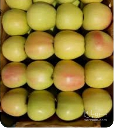 فروش سیب زرد