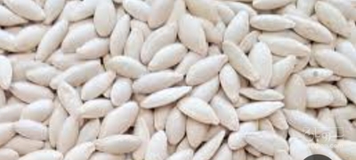 فروش تخمه  کدو