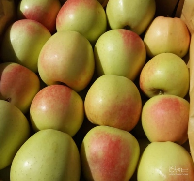 فروش سیب درختی