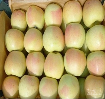 فروش سیب زرد