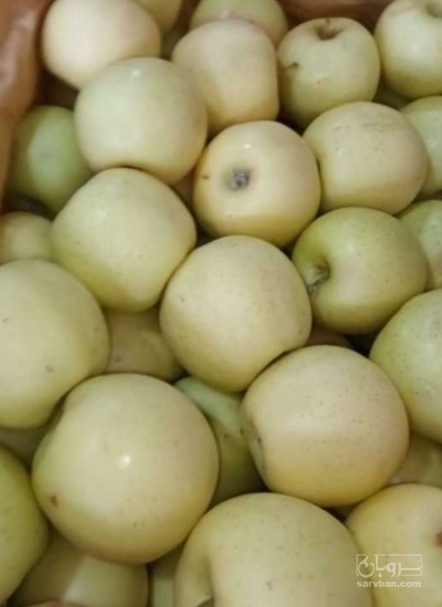 فروش سیب زرد