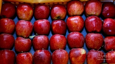 فروش سیب قرمز