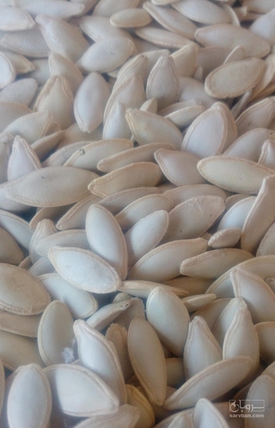 فروش تخمه  کدو