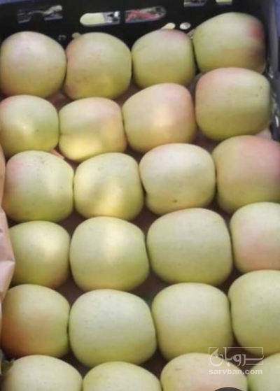 فروش سیب زرد