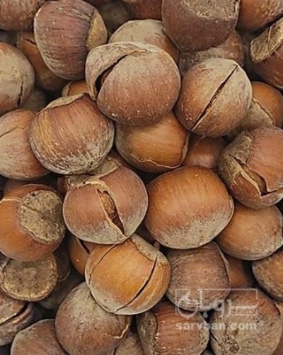 فروش فندق خام