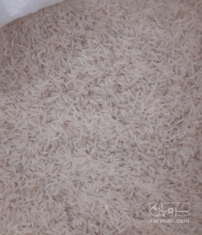 فروش برنج فجر سوزنی