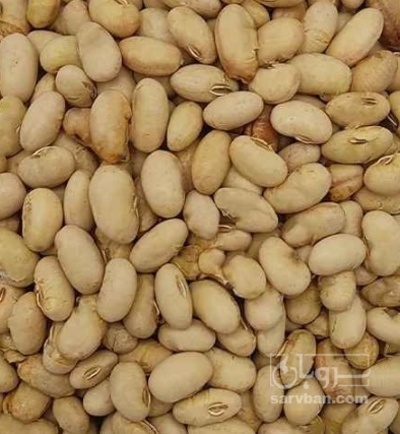 فروش سویا اجیلی