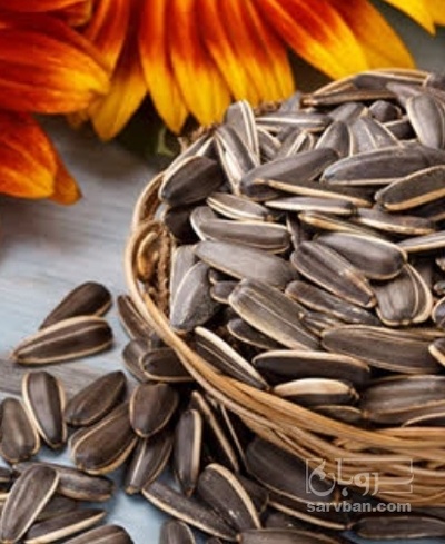 فروش تخمه آفتابگردان