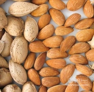 فروش بادام سنگی