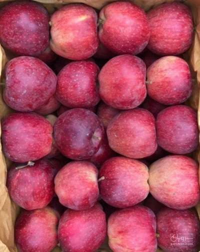 فروش سیب قرمز