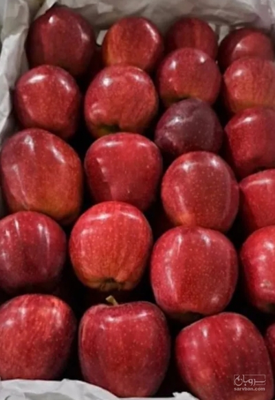 فروش سیب قرمز