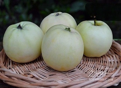 فروش سیب سفید