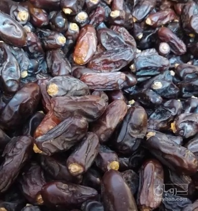 فروش خرما خاصویی
