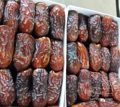 فروش خرما پیارم صادراتی