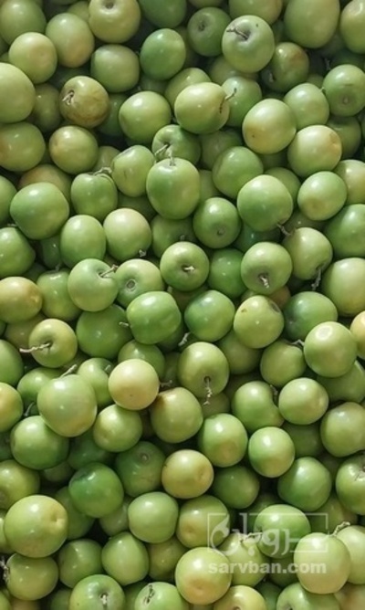 فروش کنار سیبی