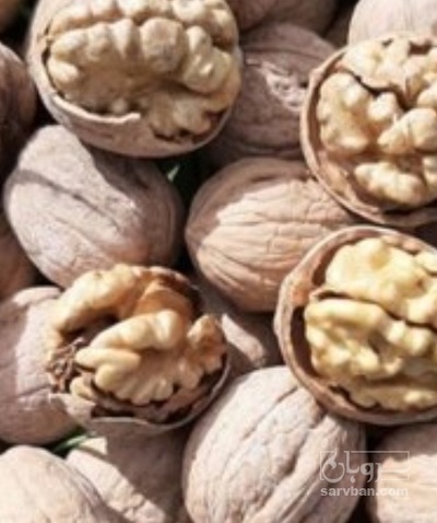 فروش گردو پرمغز