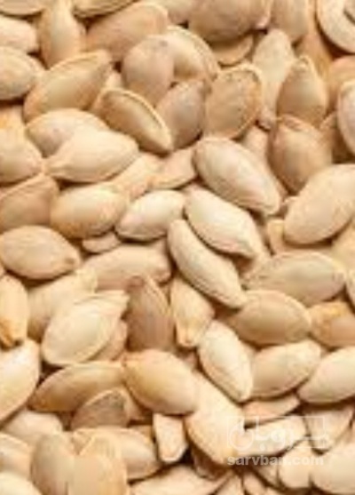 فروش تخمه  کدو